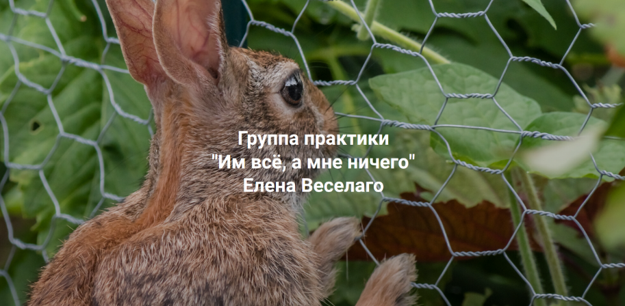 [Елена Веселаго] [Институт Открытого Поля] Им всё,_0.png